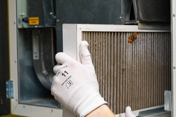 Best Ventilation Cleaning Services  in Schulenburg, TX